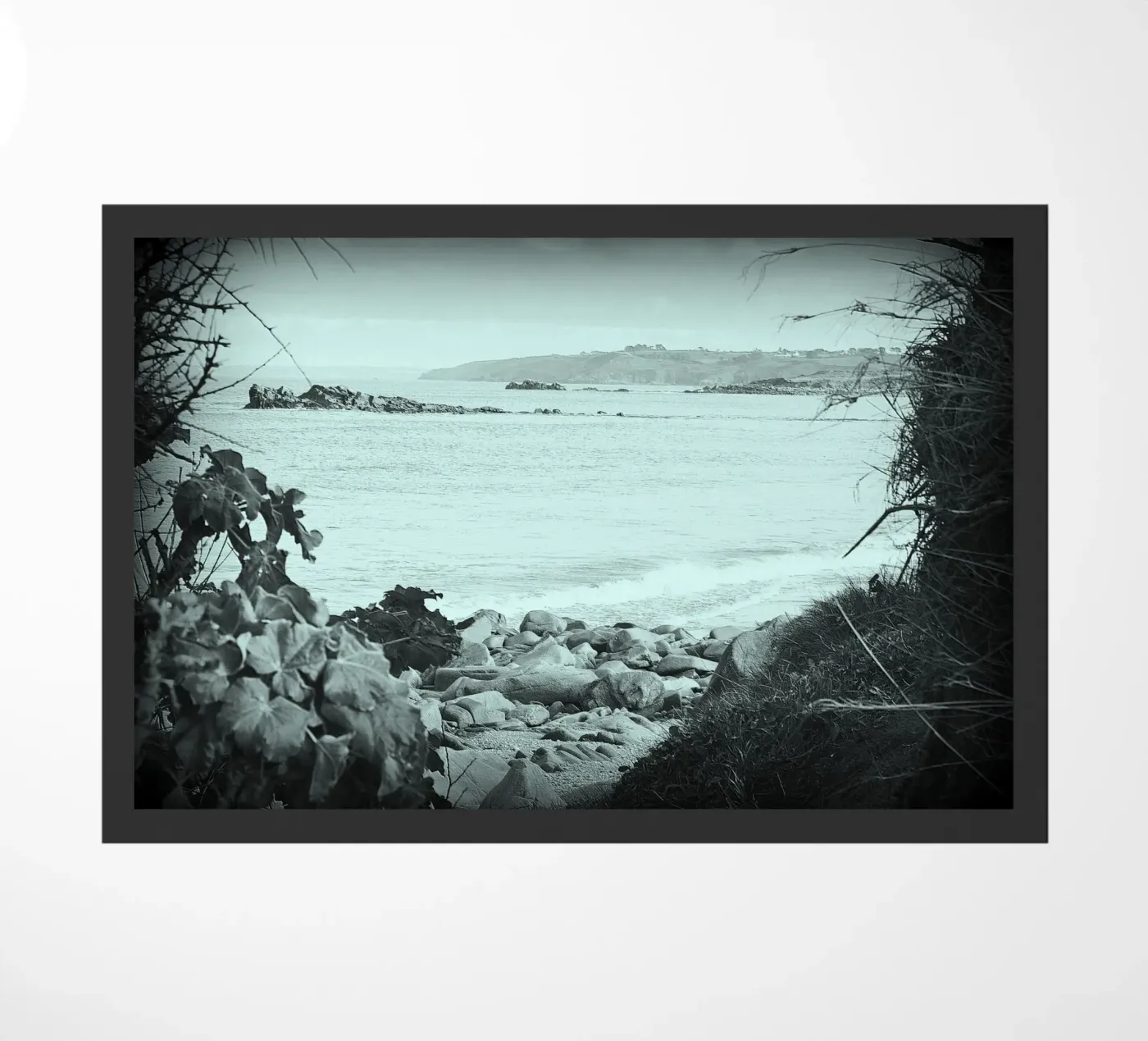 BW56 zerbino da Thierry vobmann photography