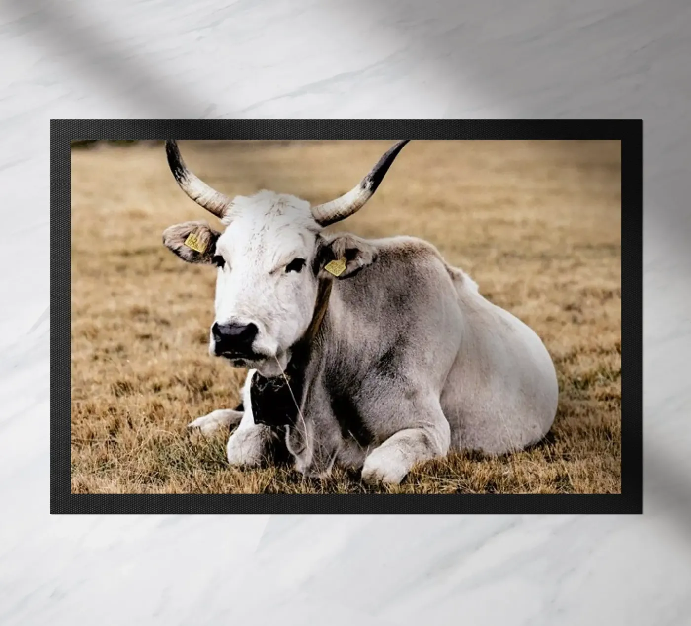 Pasture zerbino da Natural Kingdom