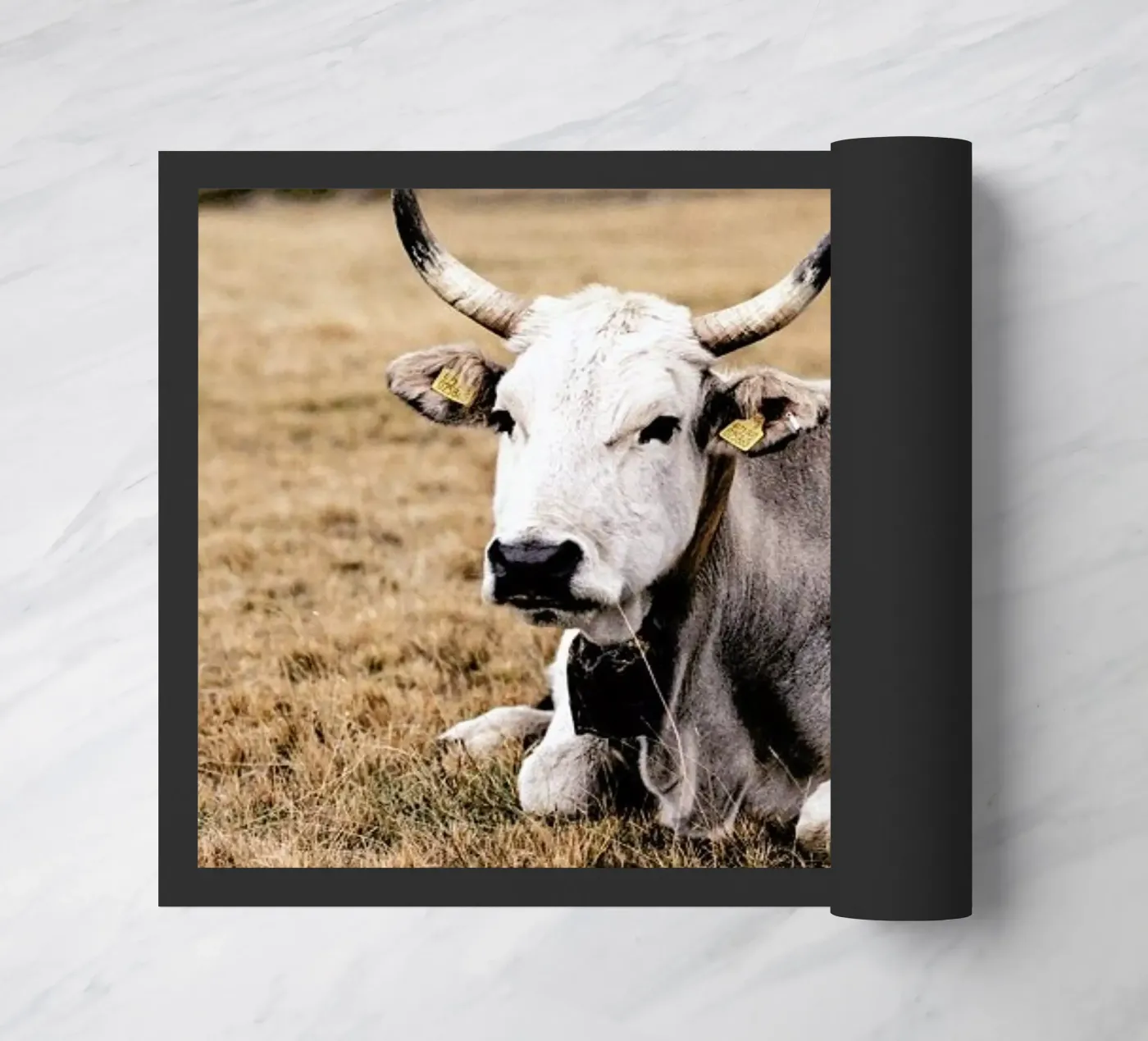 Pasture zerbino da Natural Kingdom