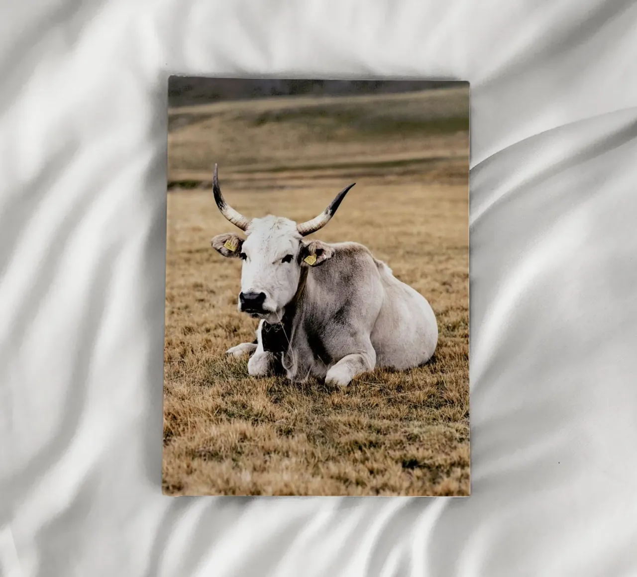 Pasture notebook by Natural Kingdom