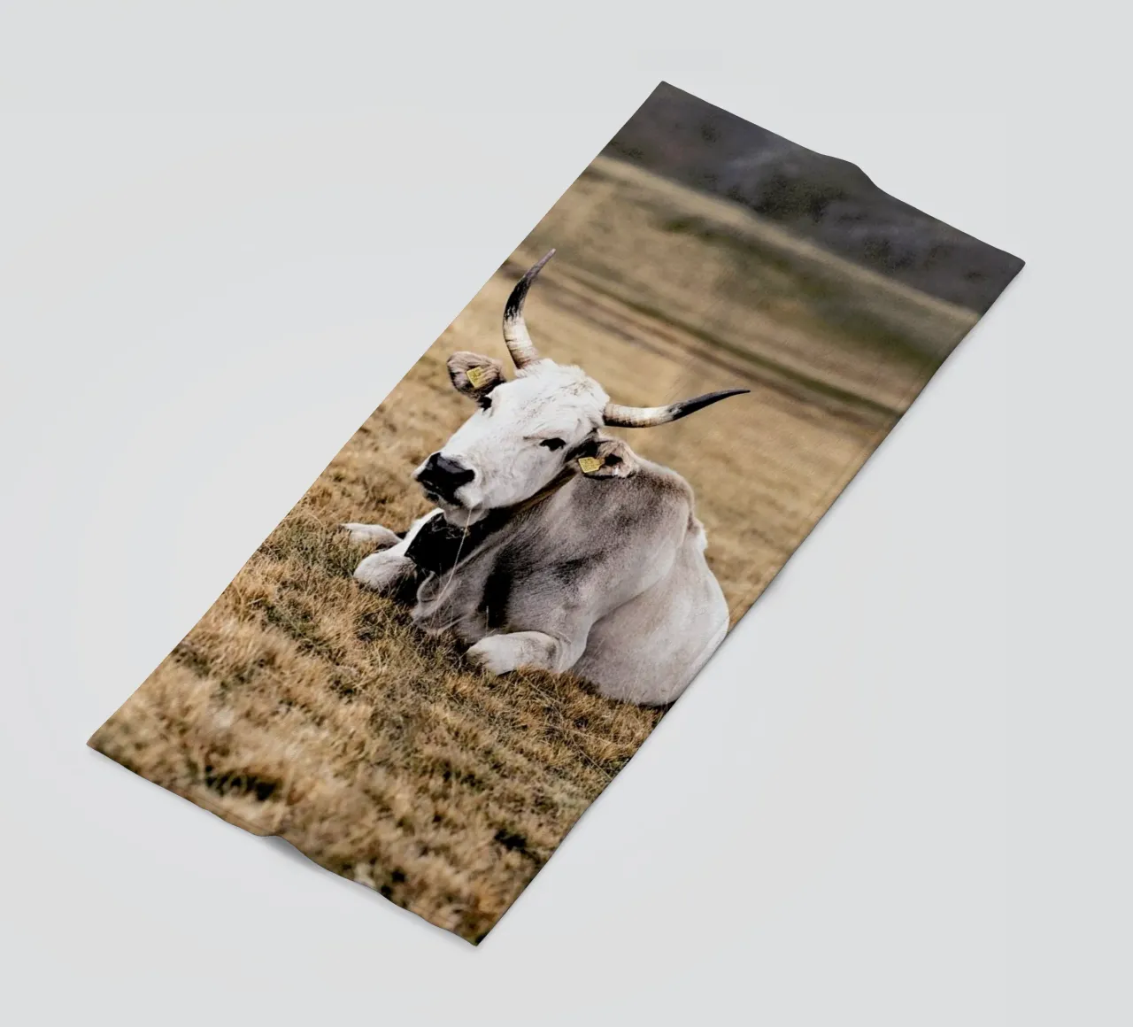 Pasture telo mare da Natural Kingdom