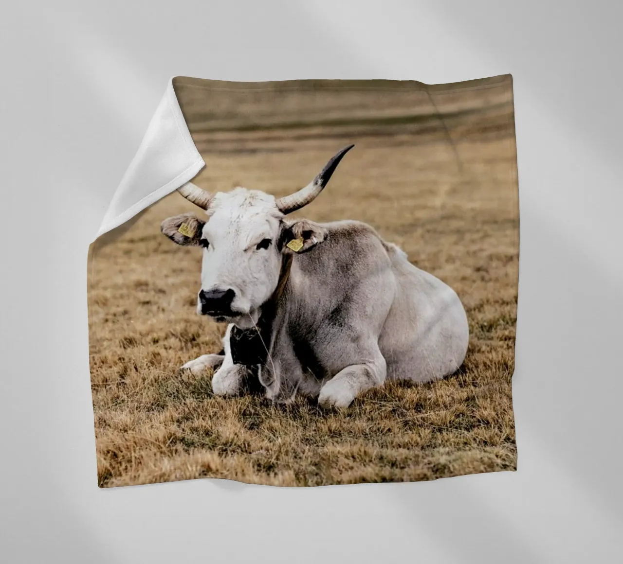 Pasture coperta in pile da Natural Kingdom