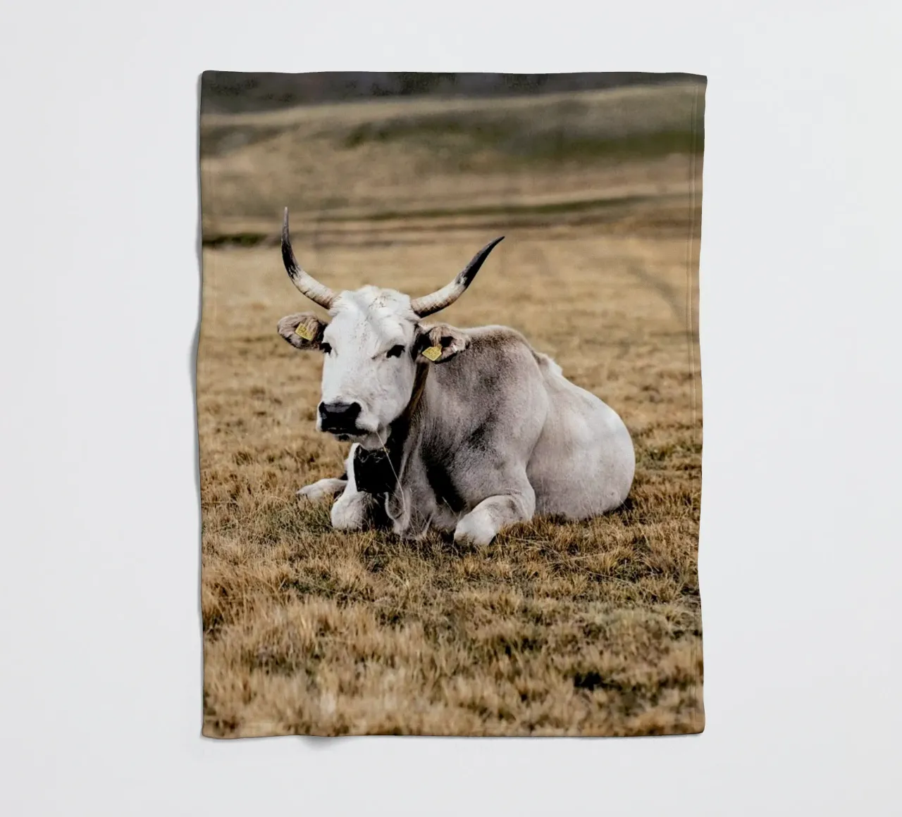 Pasture coperta in pile da Natural Kingdom