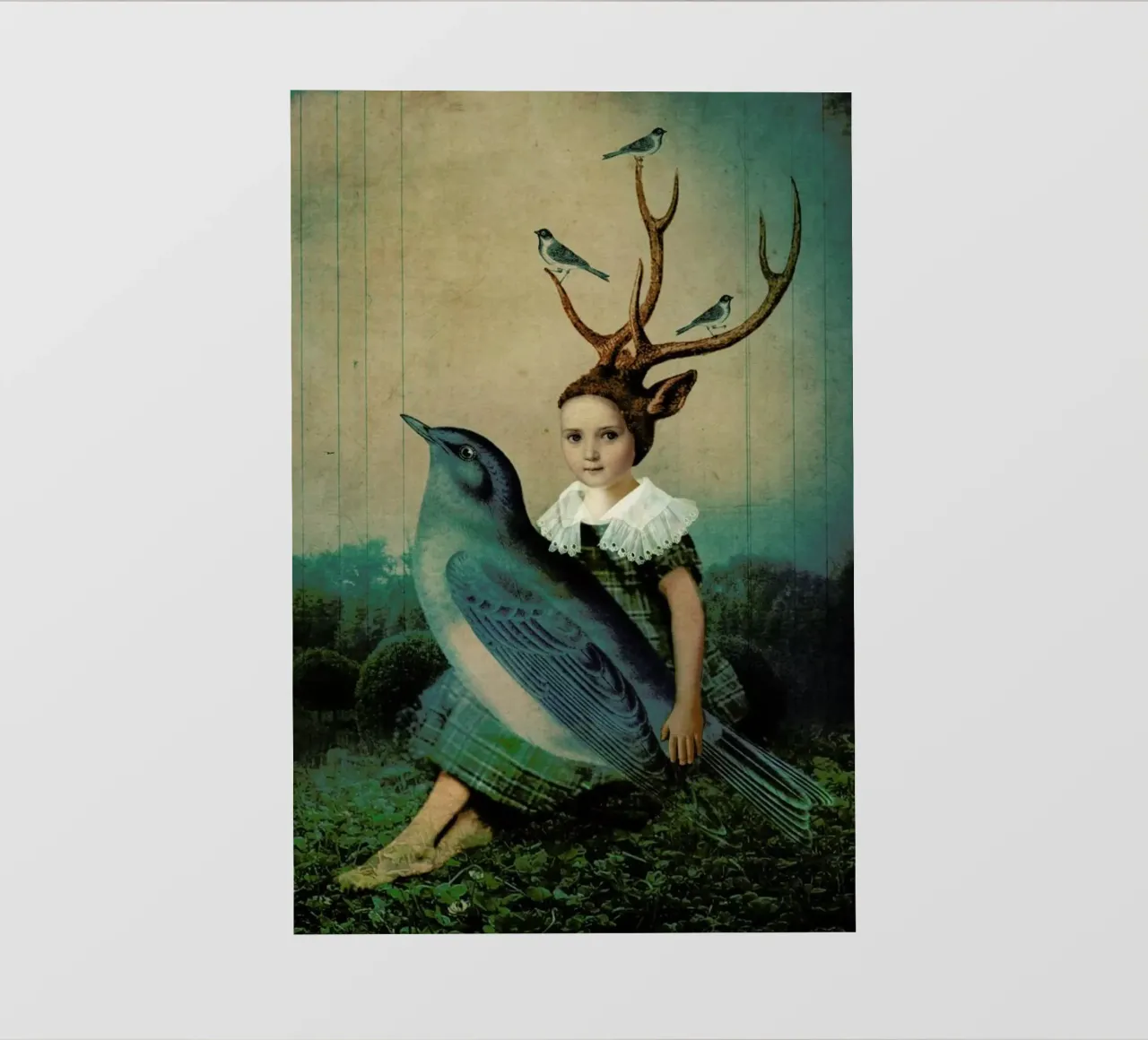 Sing me a song pellicola backlit da Catrin Welz-Stein