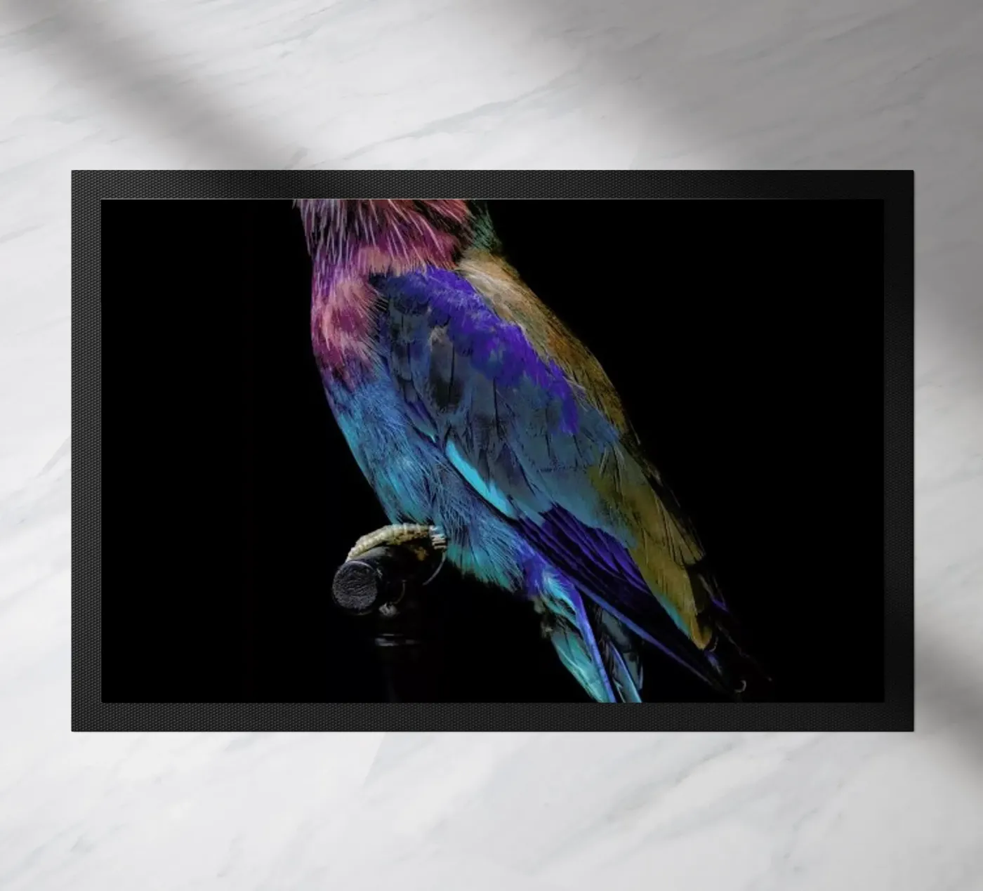 Birds 2 zerbino da Curious Collections by Marielle Leenders