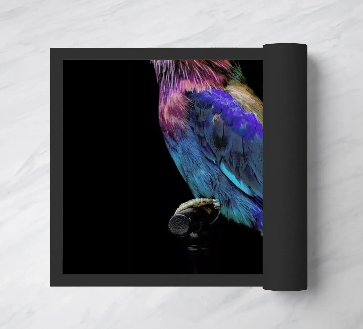 Birds 2 zerbino da Curious Collections by Marielle Leenders