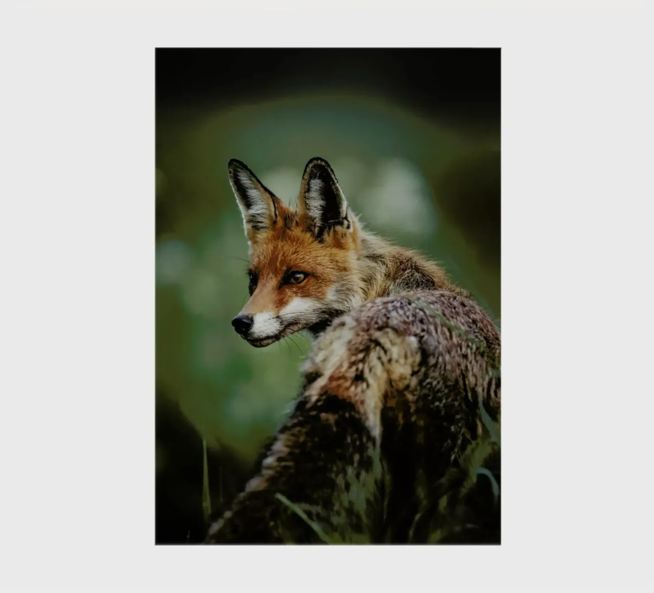 Caught Red Handed by @szabo_ervin_edward diario da EyeEm Mobile GmbH