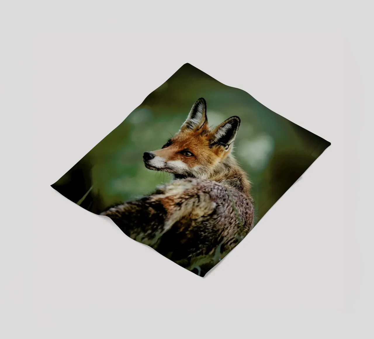 Caught Red Handed by @szabo_ervin_edward coperta in pile da EyeEm Mobile GmbH