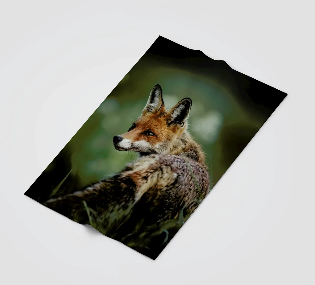 Caught Red Handed by @szabo_ervin_edward coperta in pile da EyeEm Mobile GmbH