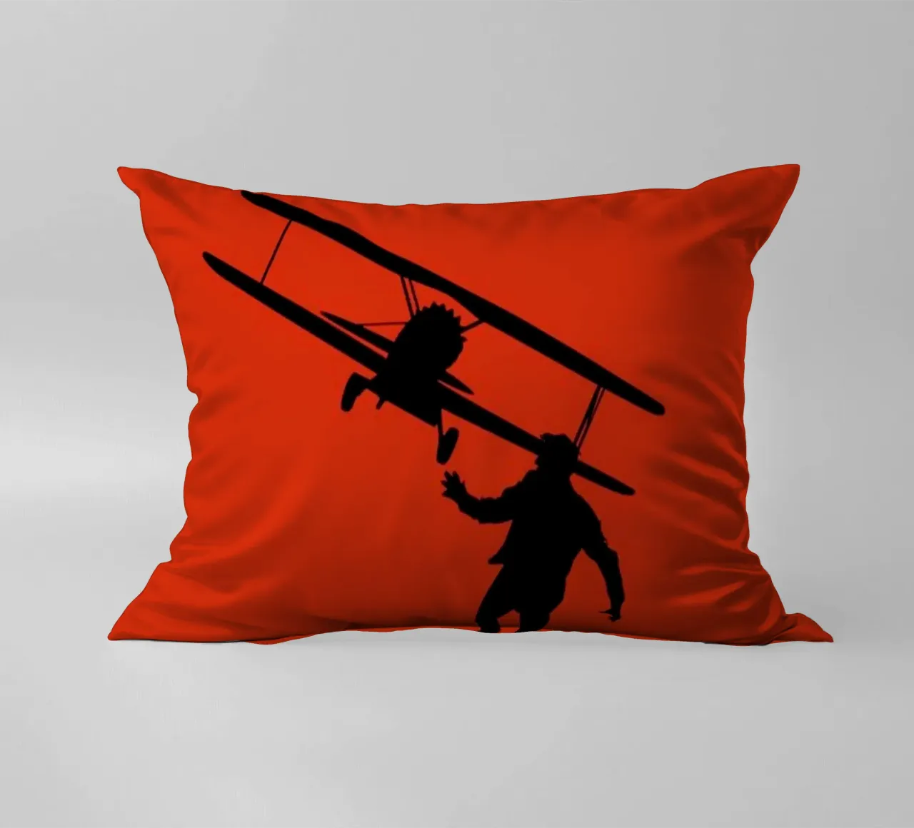 North By Northwest cuscino da Naxart
