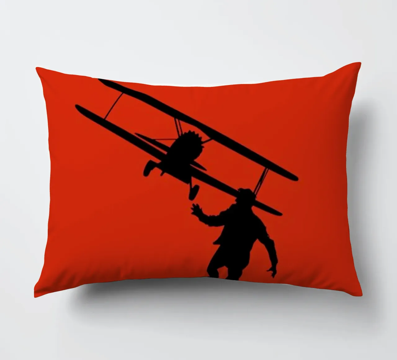 North By Northwest cuscino da Naxart