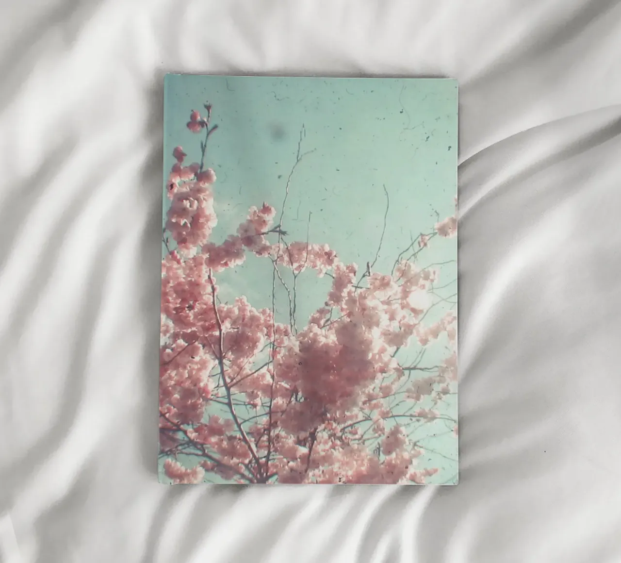 Candy Floss notebook by Cassia Beck Photography