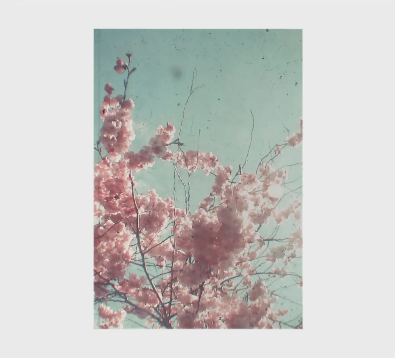 Candy Floss notebook by Cassia Beck Photography