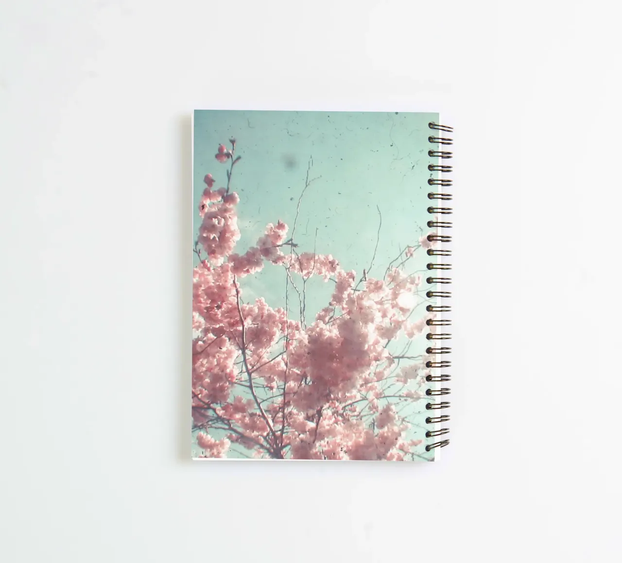Zuckerwatte Ringbuch von Cassia Beck Photography