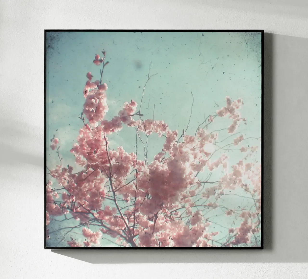 Candy Floss acrylic glass by Cassia Beck Photography