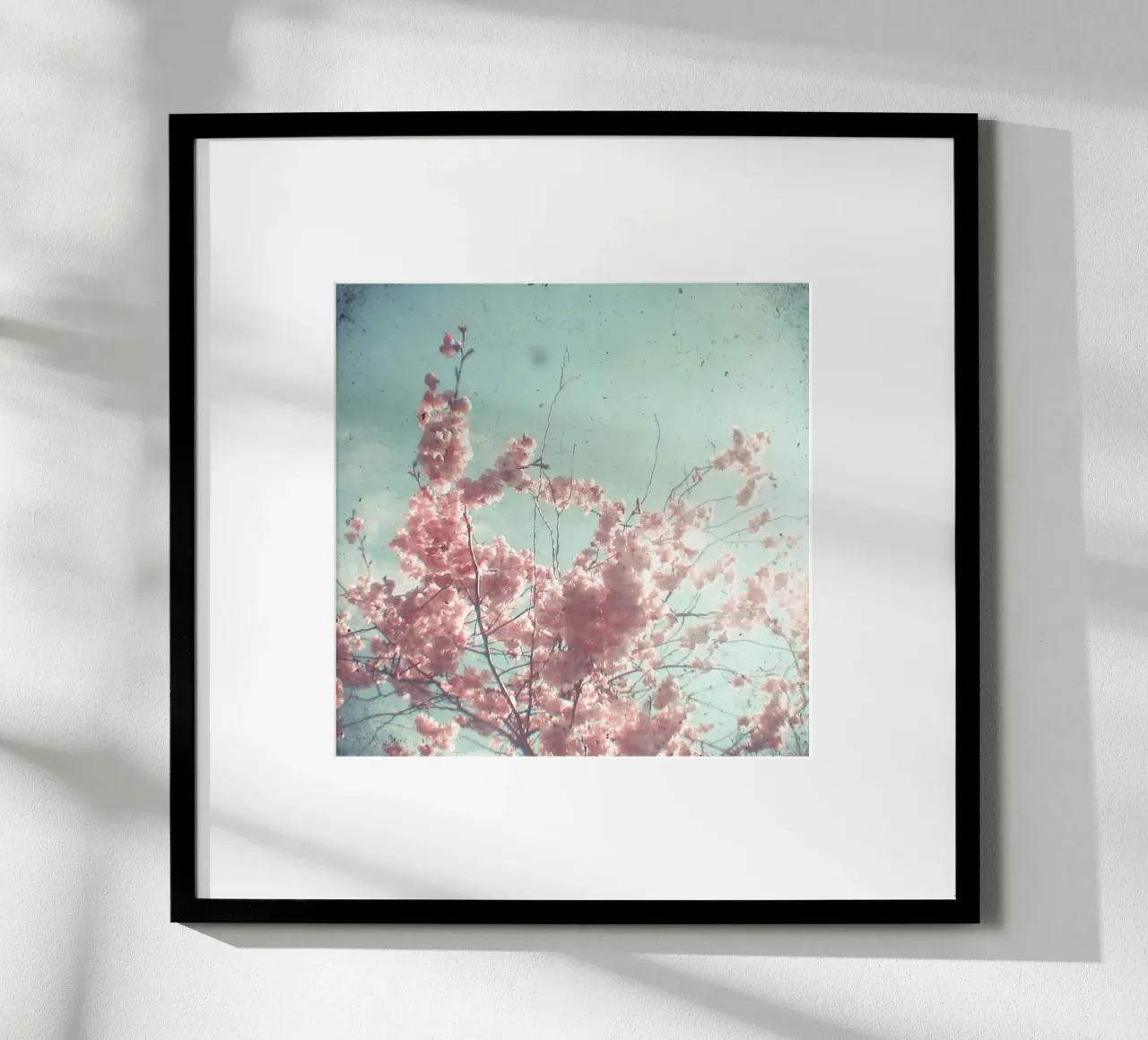 Suikerspin poster van Cassia Beck Photography