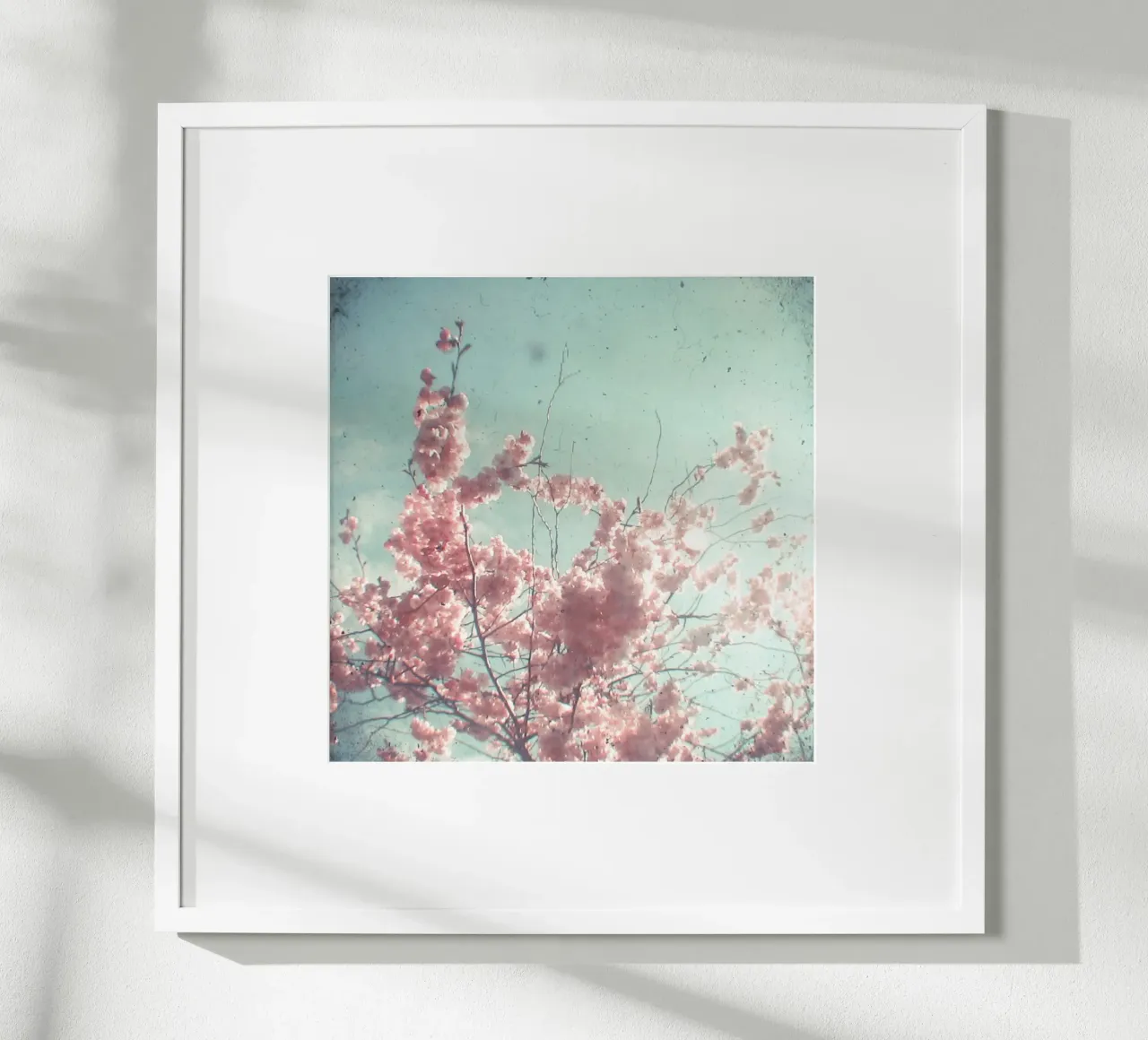 Suikerspin poster van Cassia Beck Photography