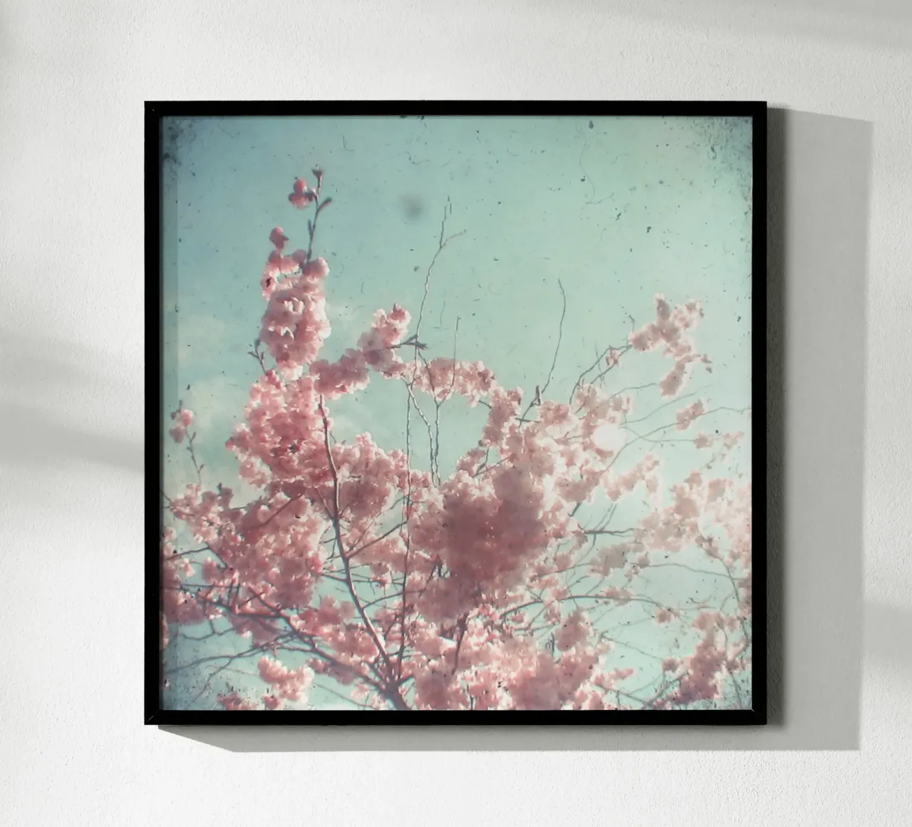 Suikerspin poster van Cassia Beck Photography