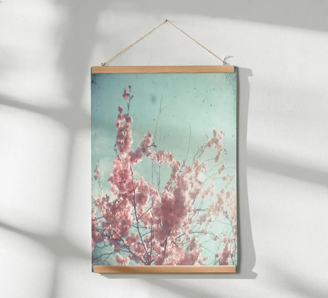 Suikerspin poster van Cassia Beck Photography