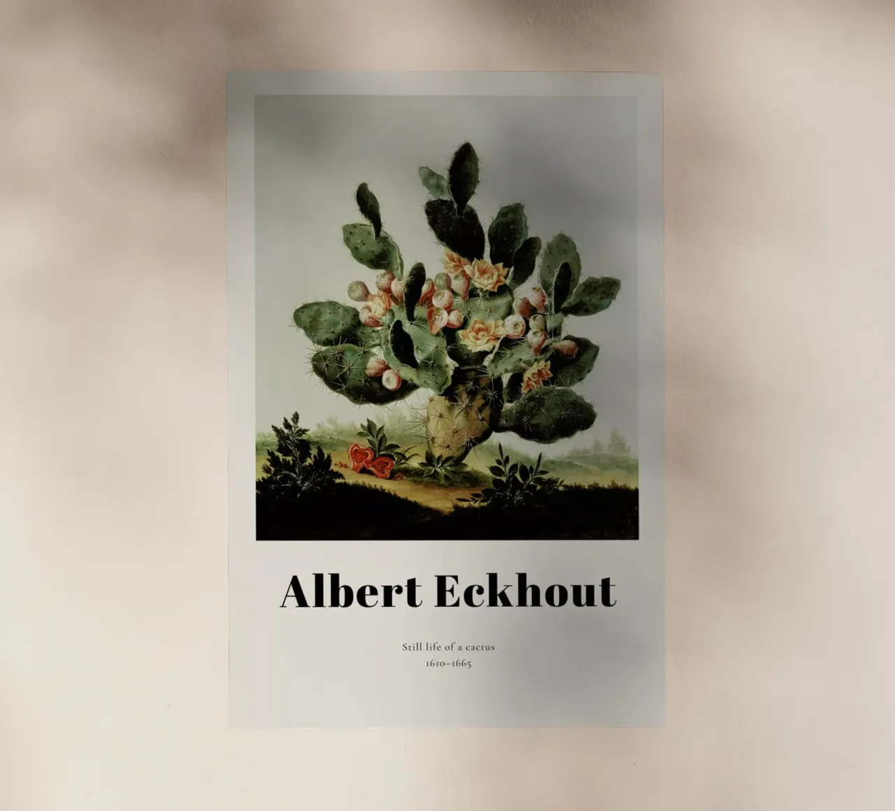 Albert van der Eeckhout- Still Life of a Cactus pellicola backlit da ARTOTHEK