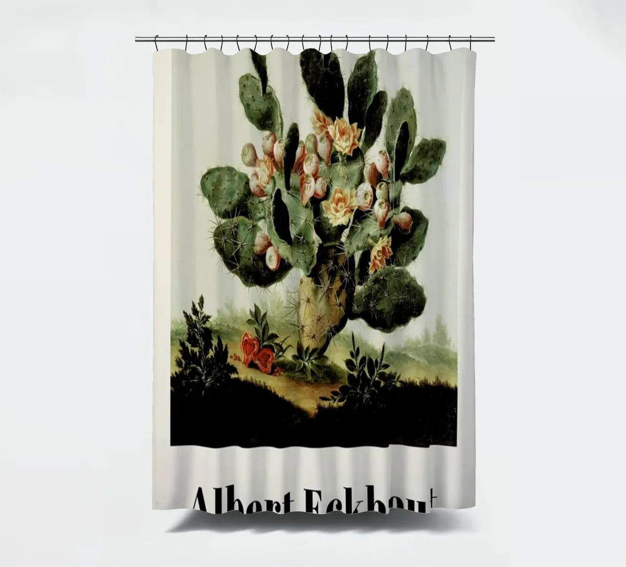 Albert van der Eeckhout- Still Life of a Cactus tenda da doccia da ARTOTHEK