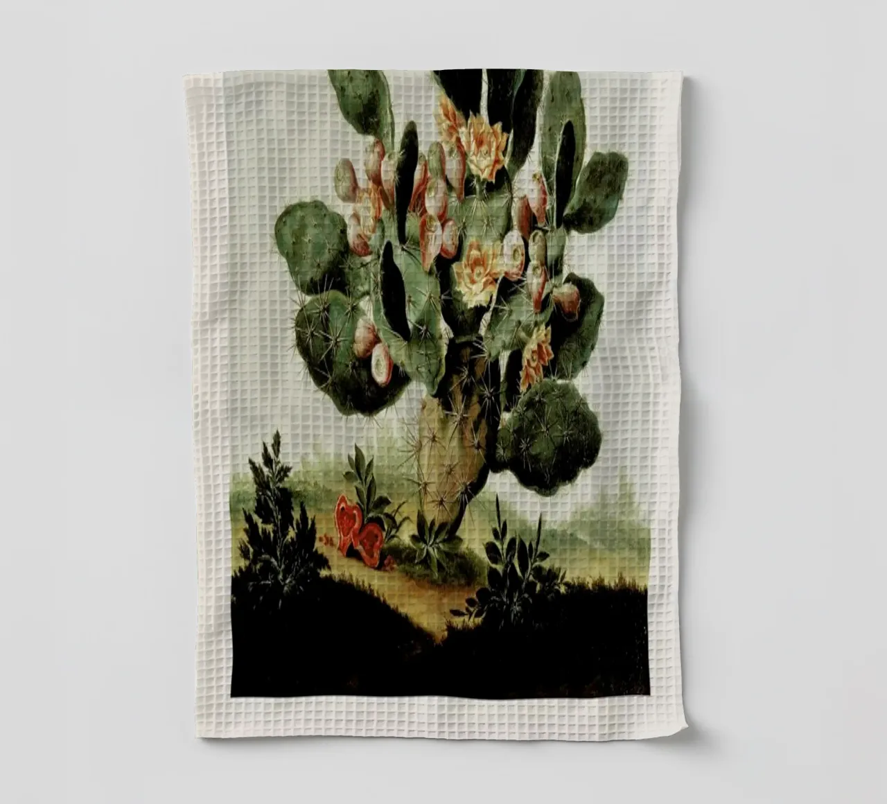 Albert van der Eeckhout- Still Life of a Cactus canovaccio da cucina da ARTOTHEK