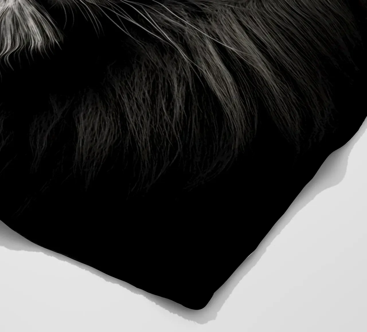 Leone in bianco e nero coperta in pile da Imagine