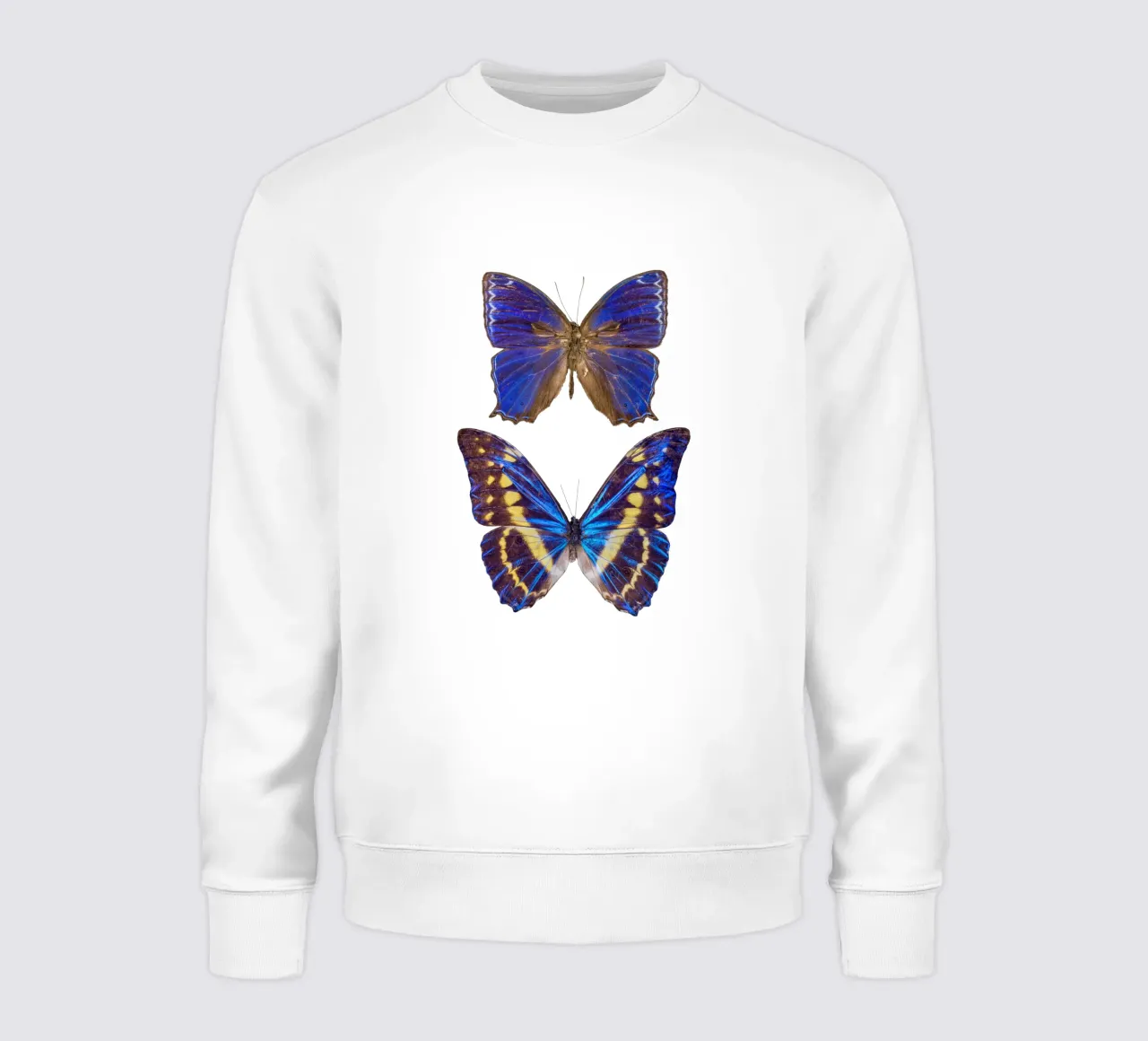 Due farfalle viola felpa da Curious Collections by Marielle Leenders
