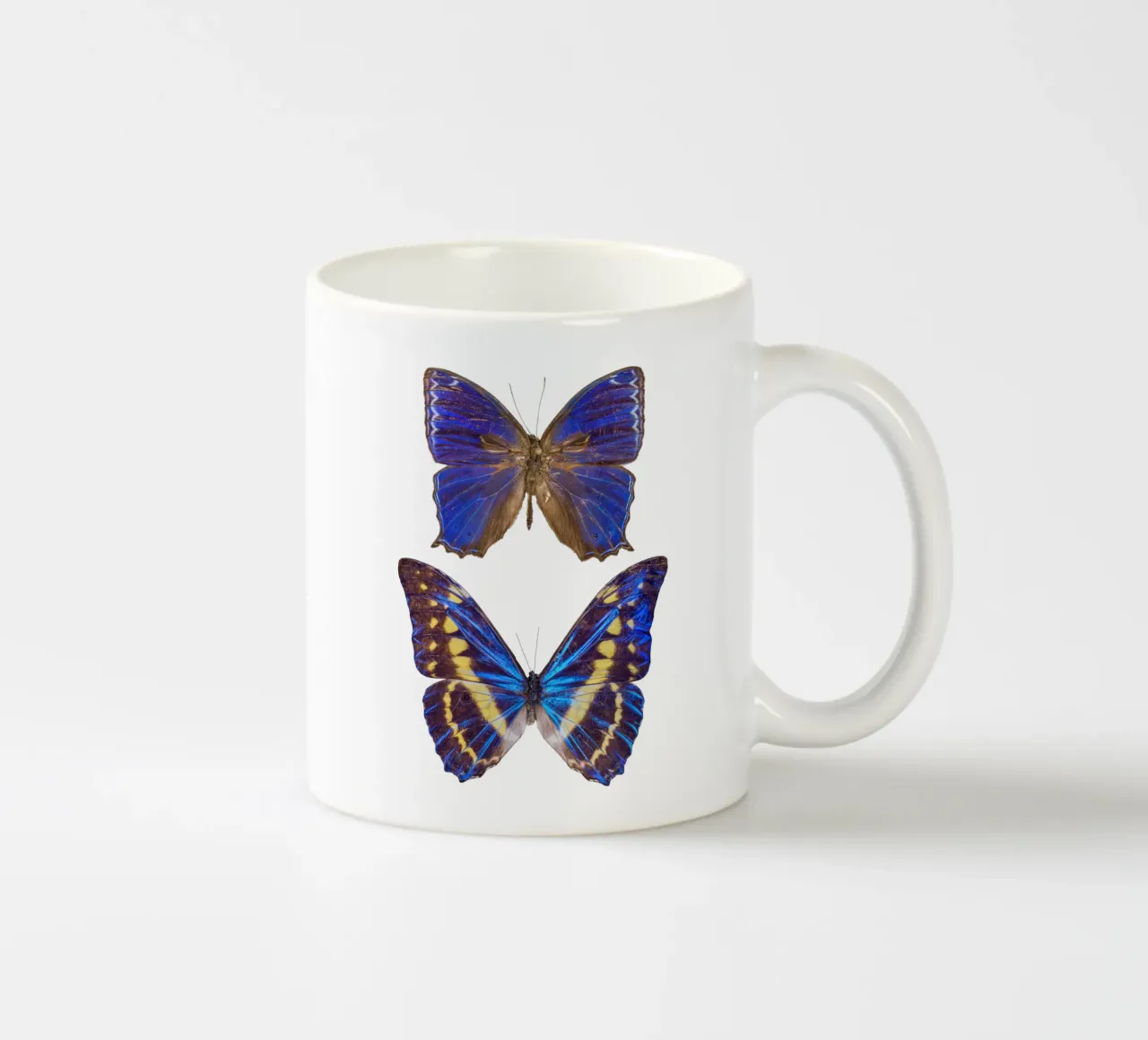 Due farfalle viola tazza in ceramica da Curious Collections by Marielle Leenders