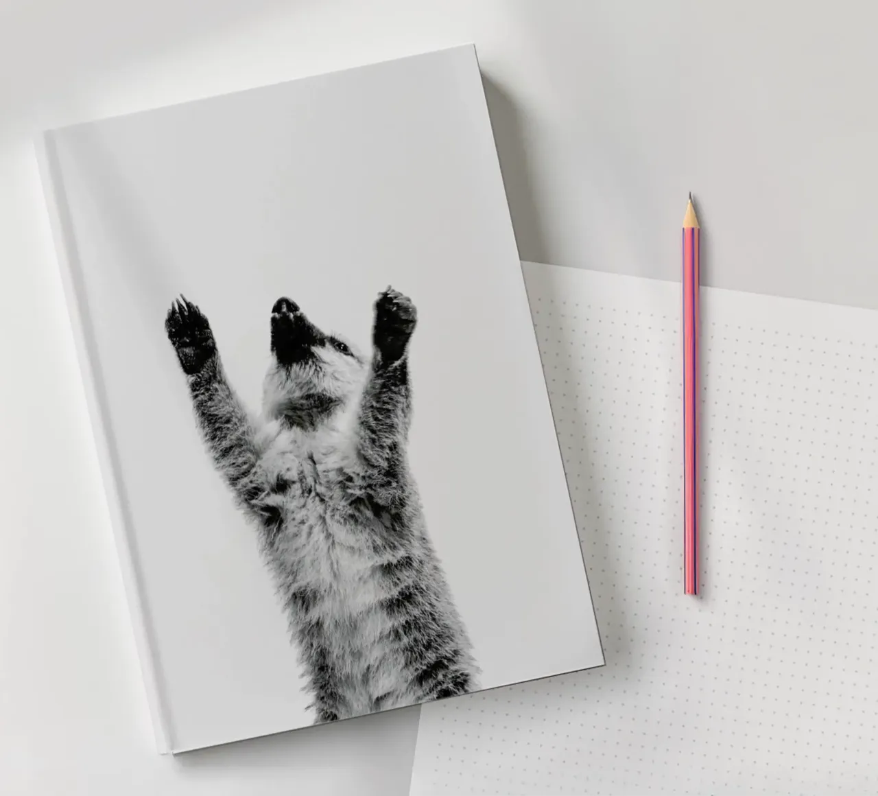 Meerkat II notebook by Paws & Claws