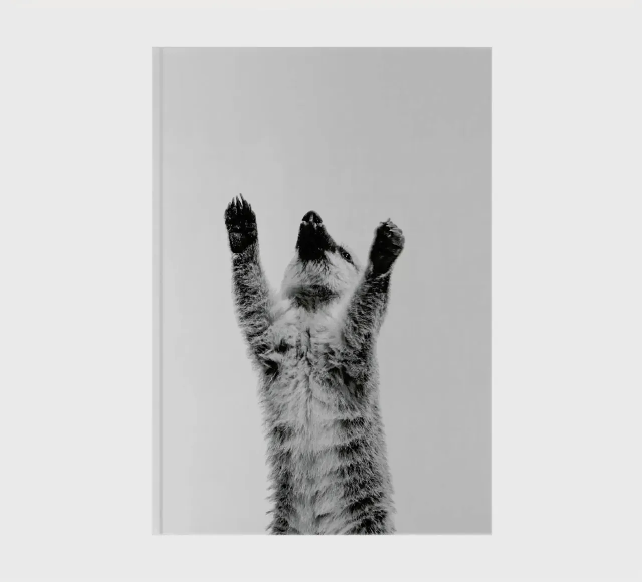 Meerkat II notebook by Paws & Claws