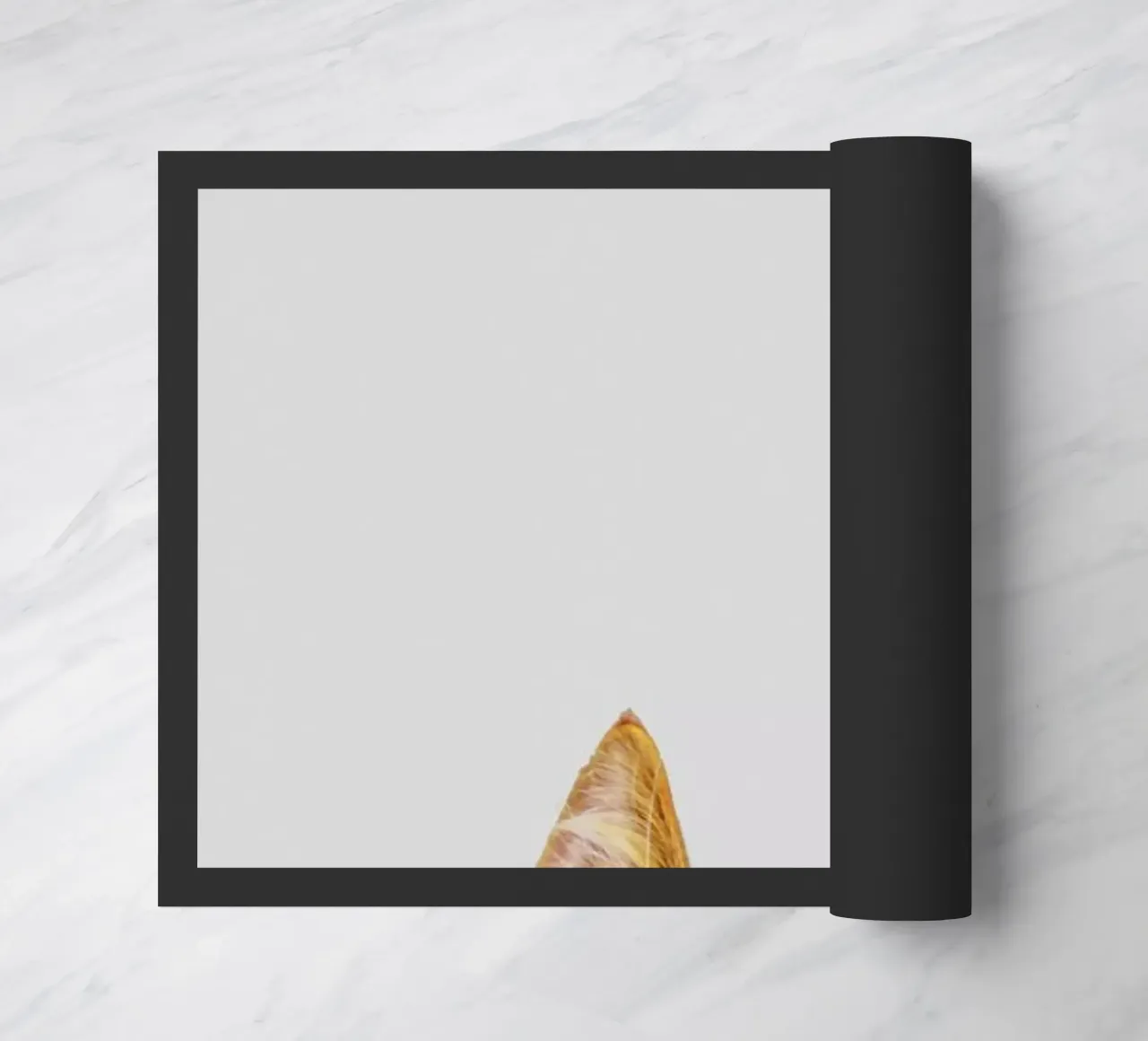 Cat deurmat van Paws & Claws