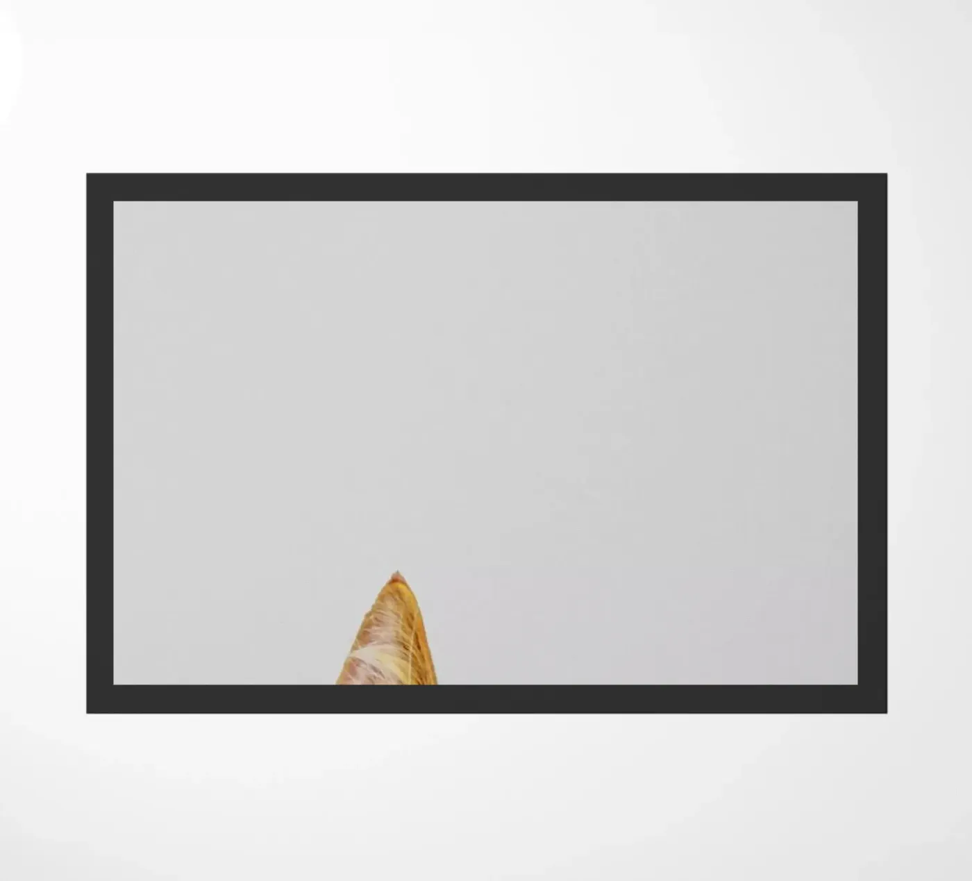 Cat doormat by Paws & Claws