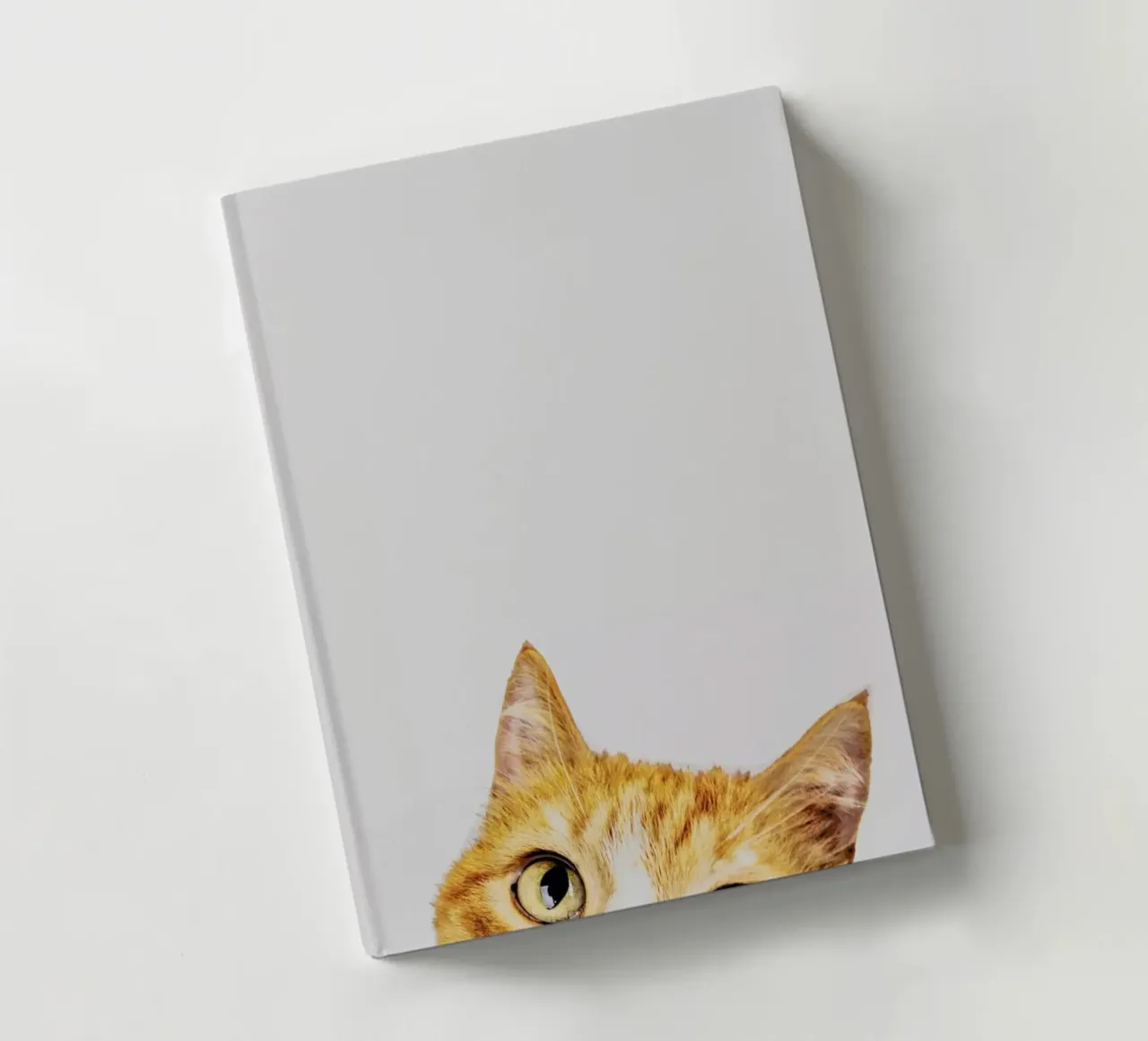 Cat notebook by Paws & Claws