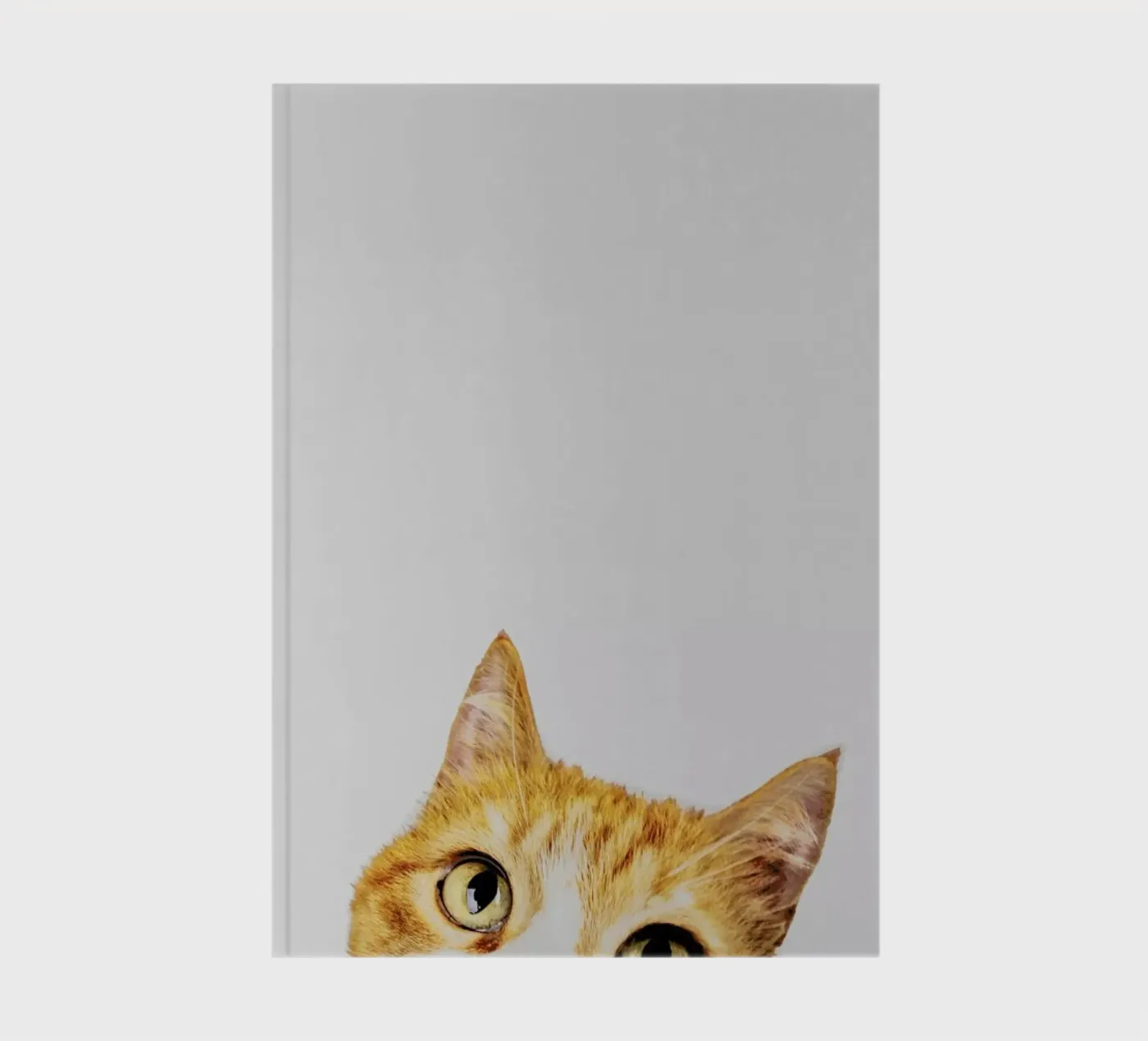 Cat notebook by Paws & Claws