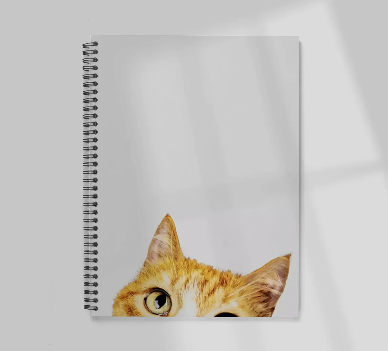 Cat carnet à spirale de Paws & Claws