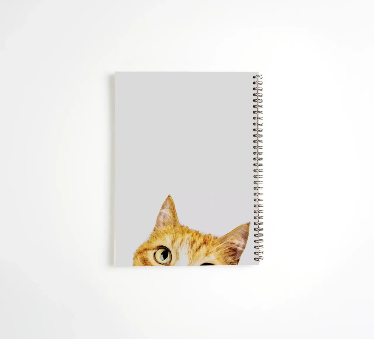 Cat carnet à spirale de Paws & Claws