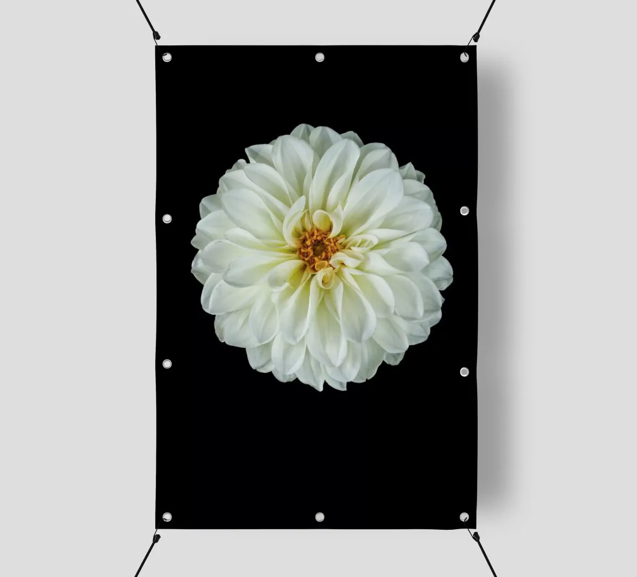 Dahlia 1 telo in pvc da Curious Collections by Marielle Leenders