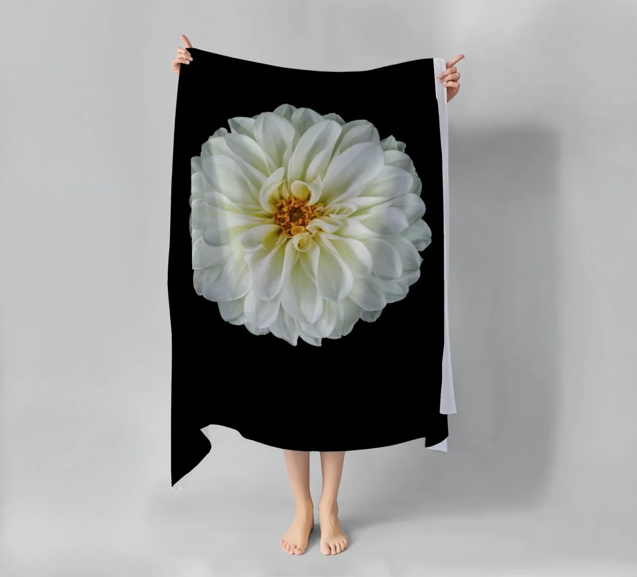 Dahlia 1 telo mare da Curious Collections by Marielle Leenders