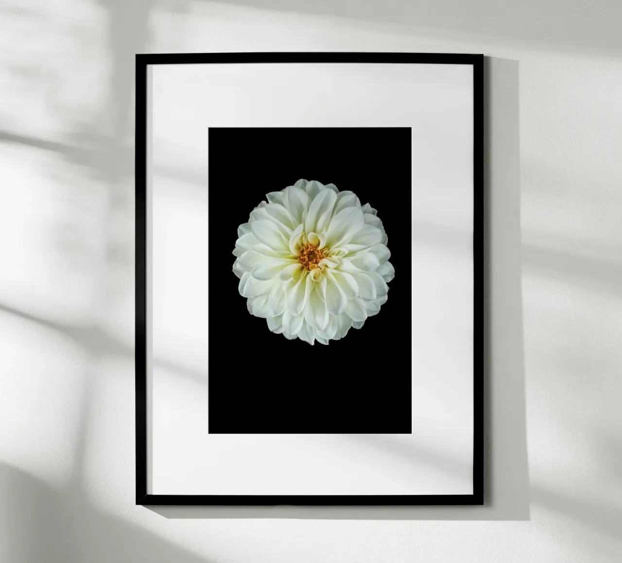 Dahlia 1 poster da Curious Collections by Marielle Leenders