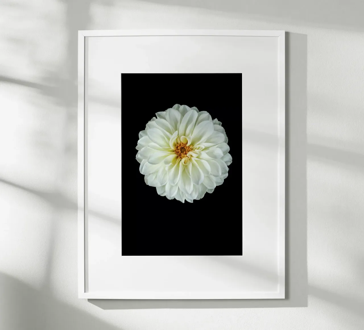Dahlia 1 poster da Curious Collections by Marielle Leenders