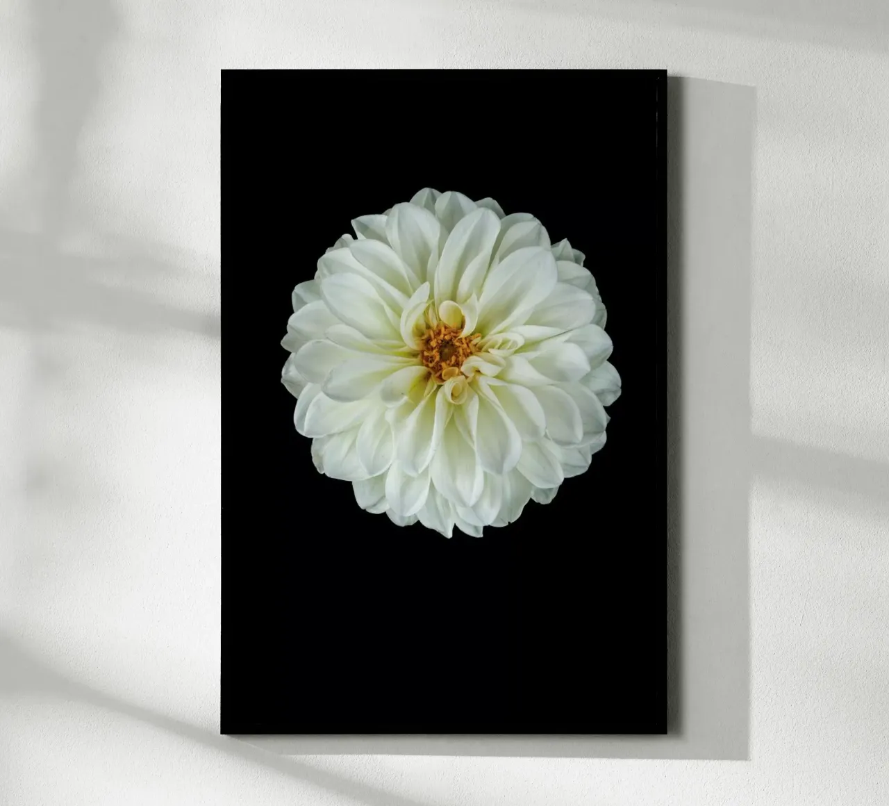 Dahlia 1 poster da Curious Collections by Marielle Leenders