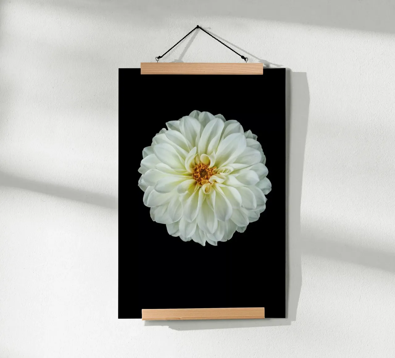 Dahlia 1 poster da Curious Collections by Marielle Leenders