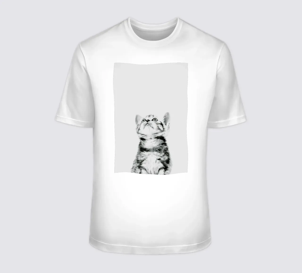 Kitten II t-shirt da Paws & Claws
