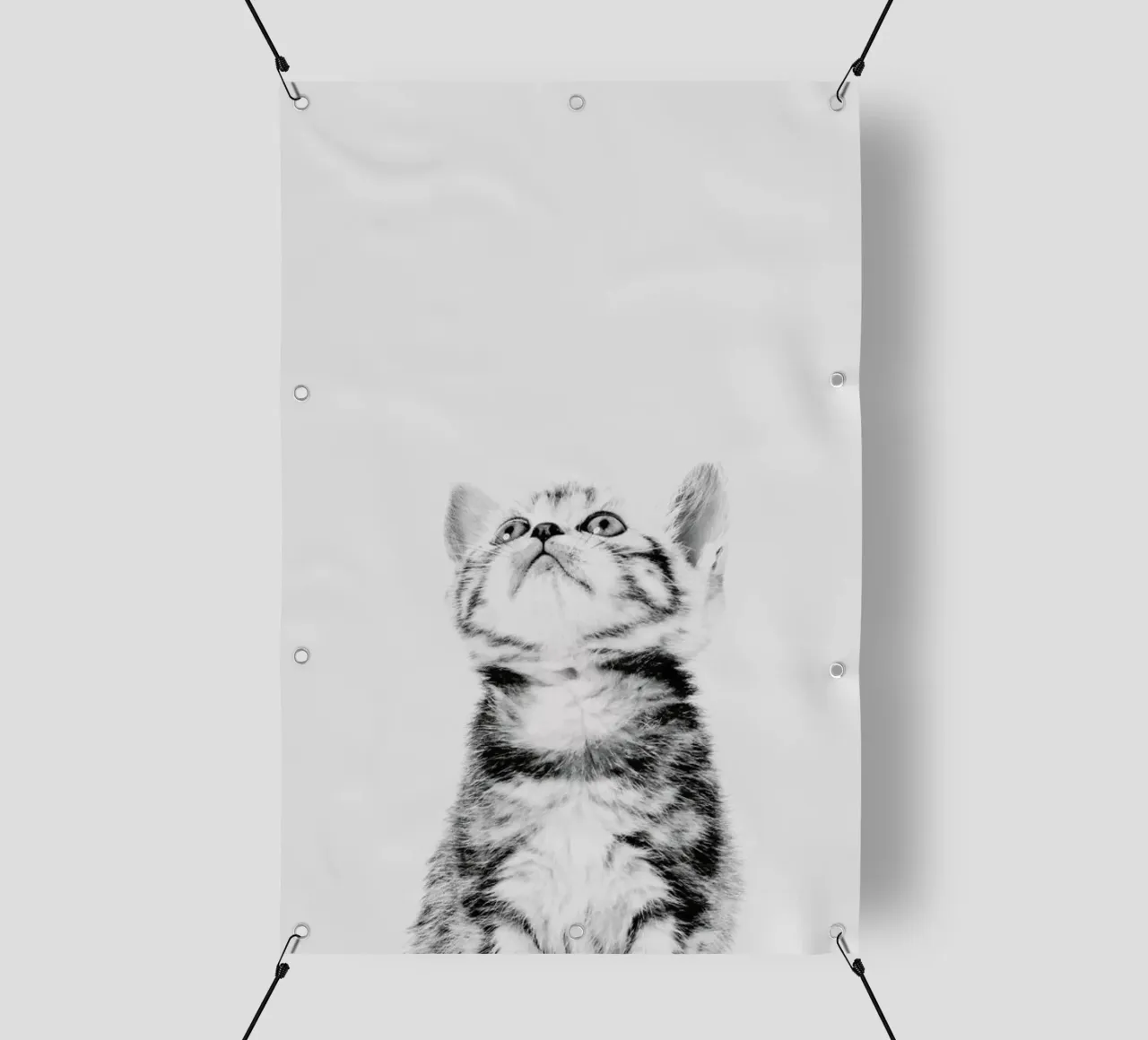 Kitten II telo in pvc da Paws & Claws