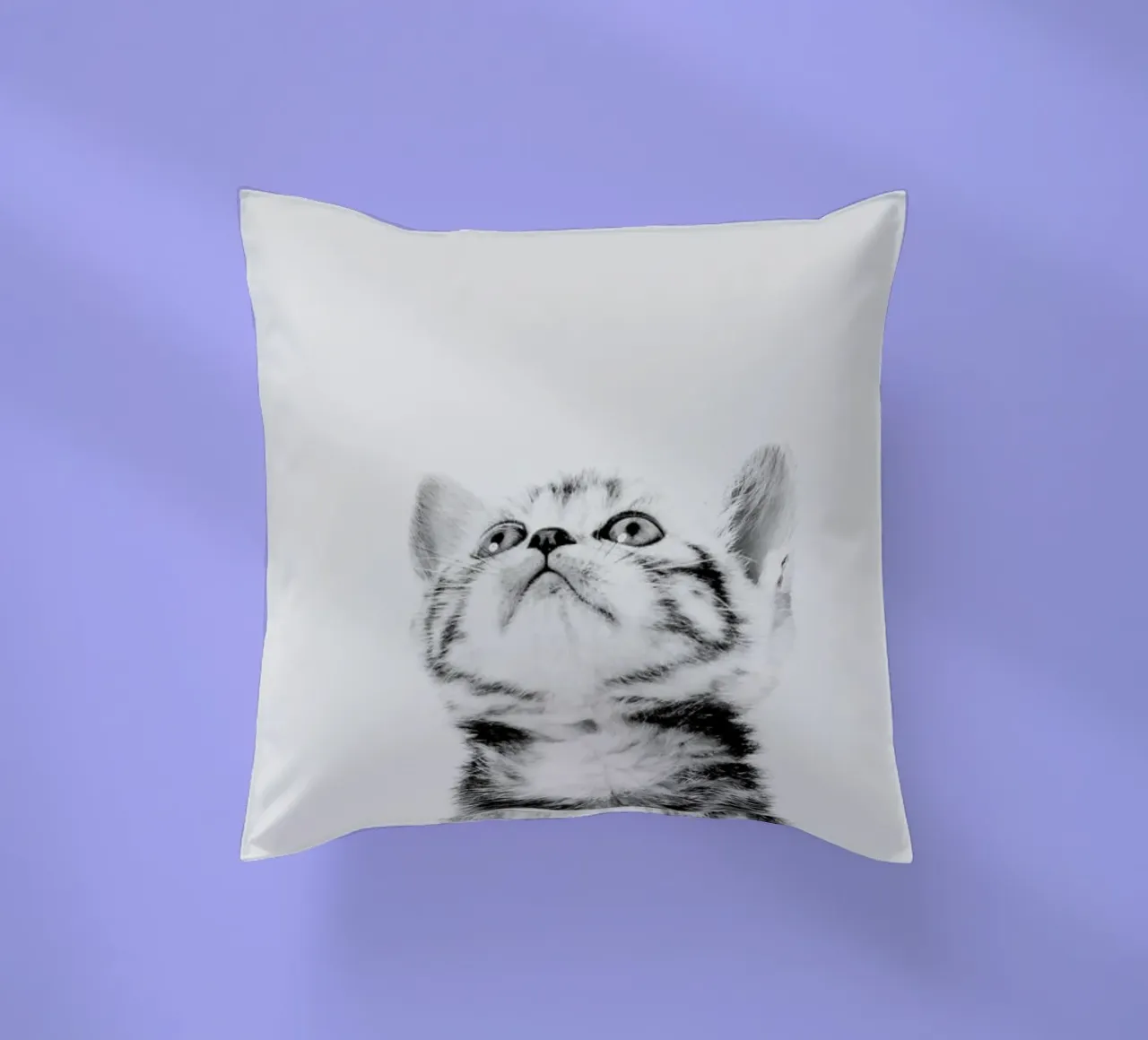 Kitten II cuscino da Paws & Claws