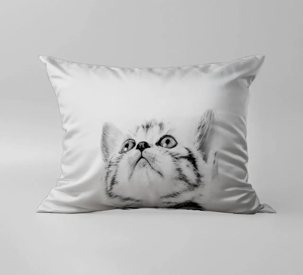 Kitten II cuscino da Paws & Claws