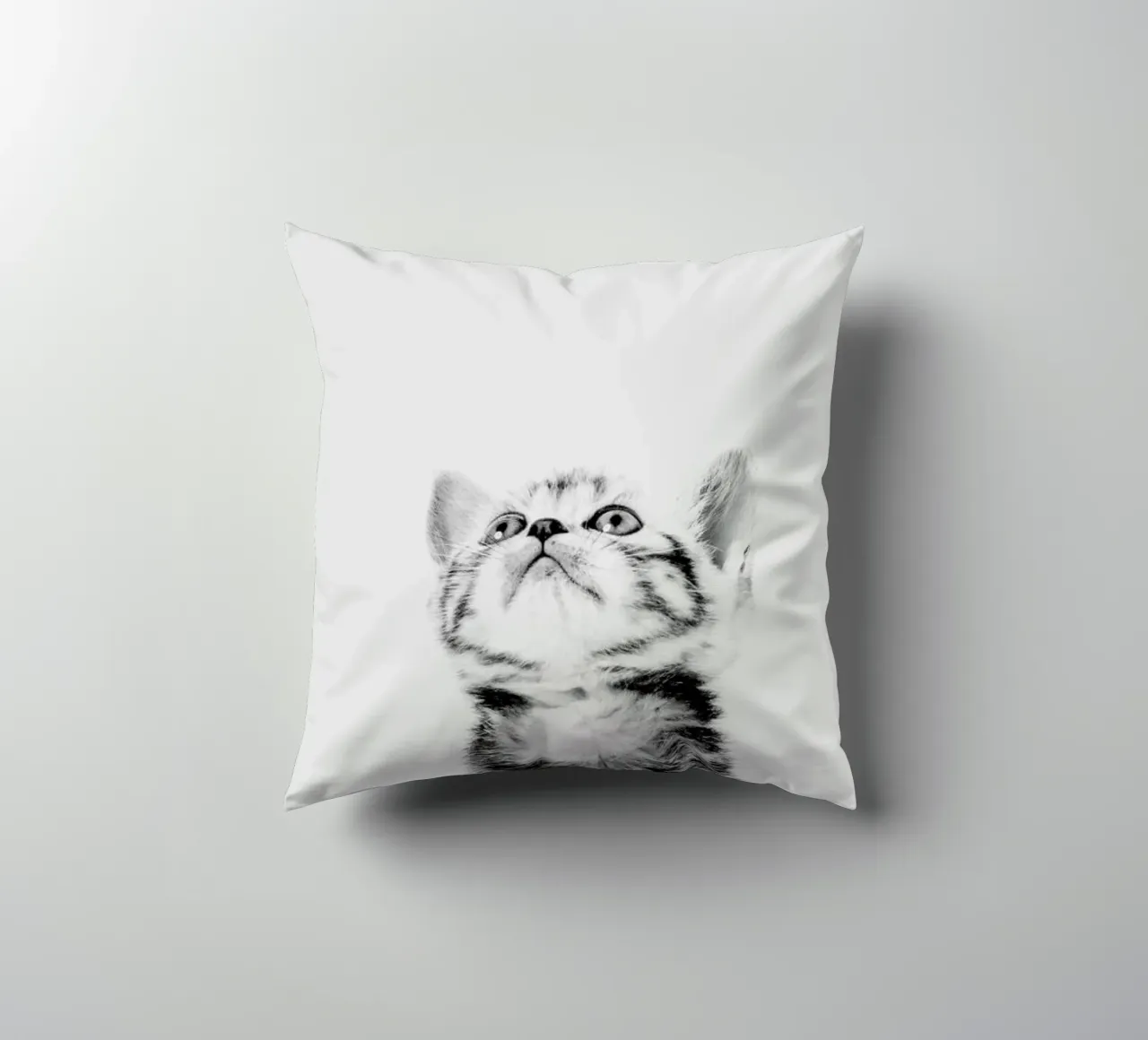 Kitten II cuscino da Paws & Claws
