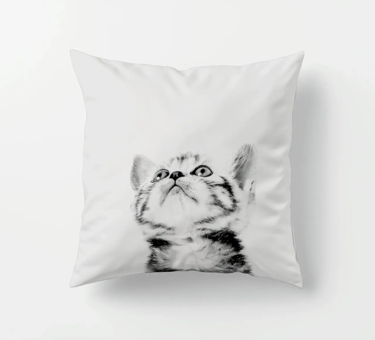 Kitten II cuscino da Paws & Claws