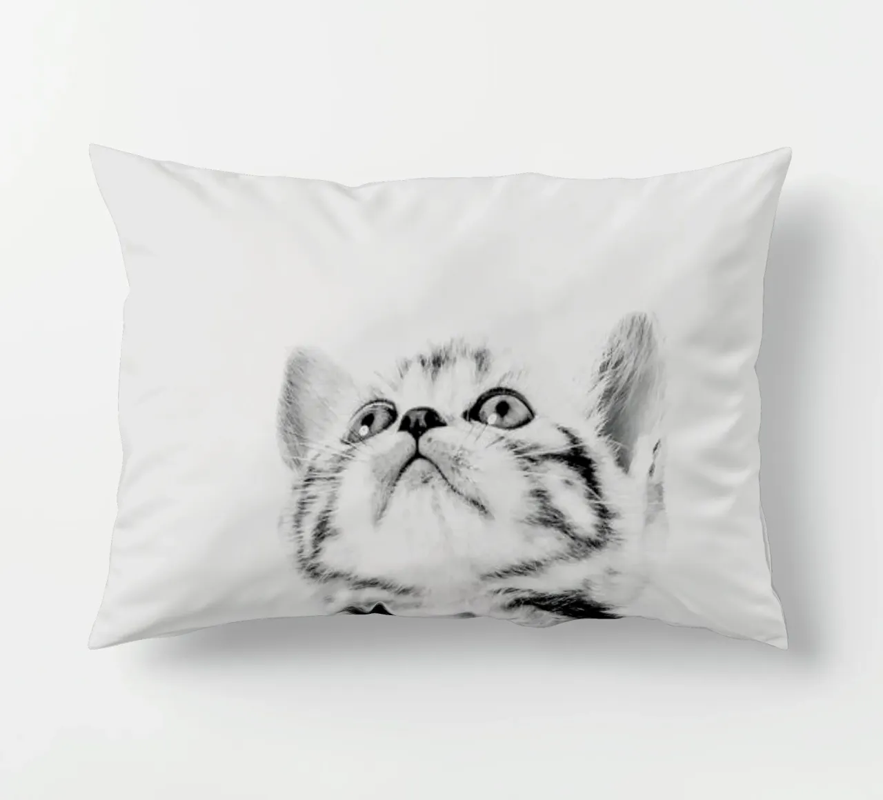 Kitten II cuscino da Paws & Claws